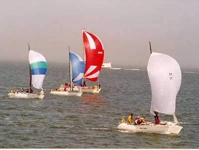 Wiley E. Coyote, Baffett, el Raton