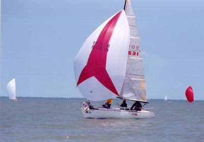 4th Place: Trim -- Bob Harvey