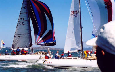 Opus and Strega downwind