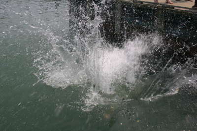 Splash!